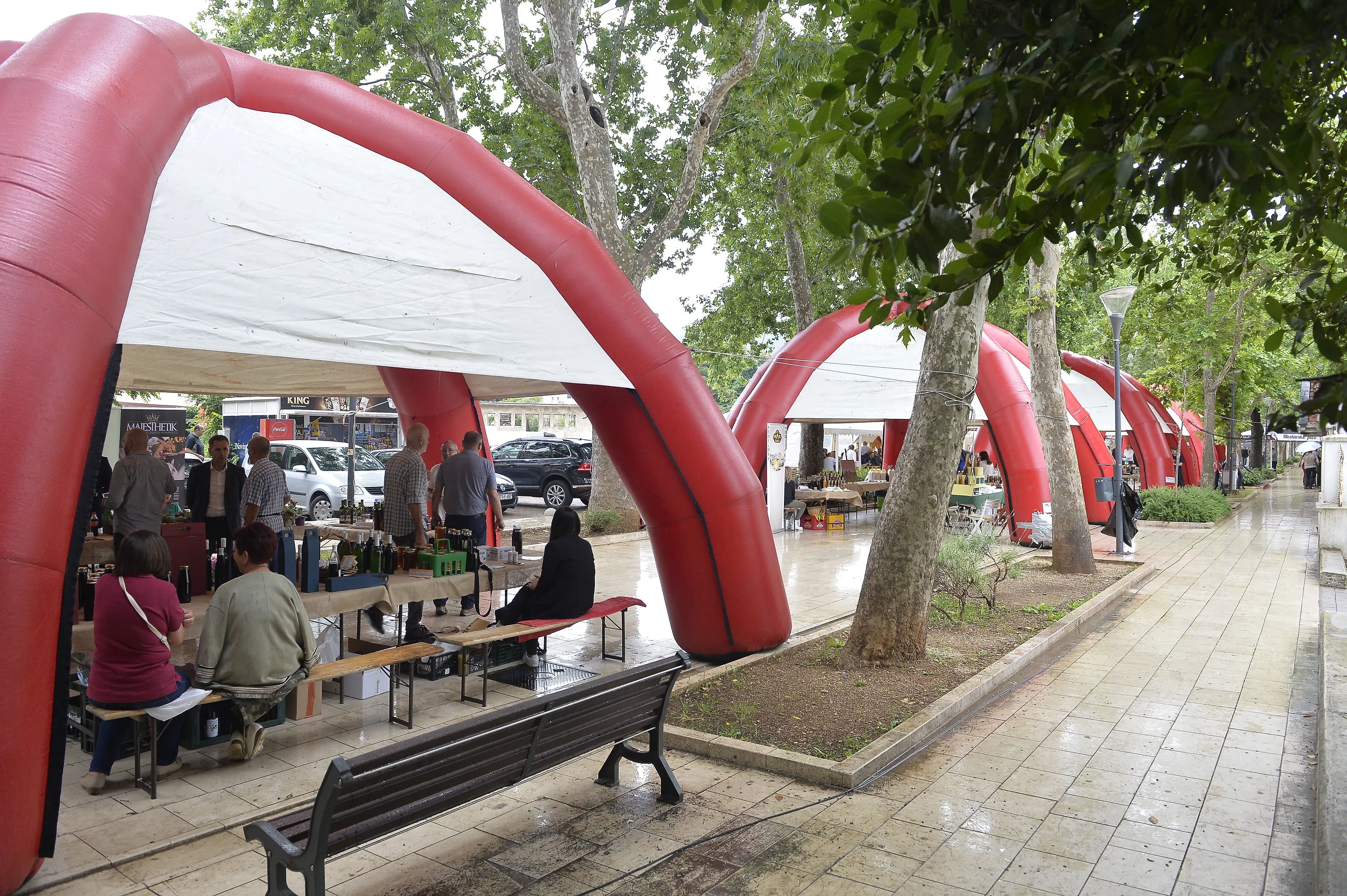 Галерија 1
